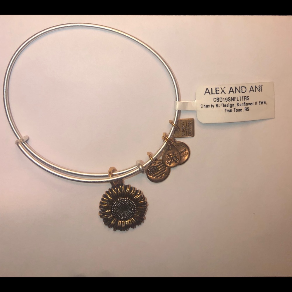 Alex and Ani bracelet
